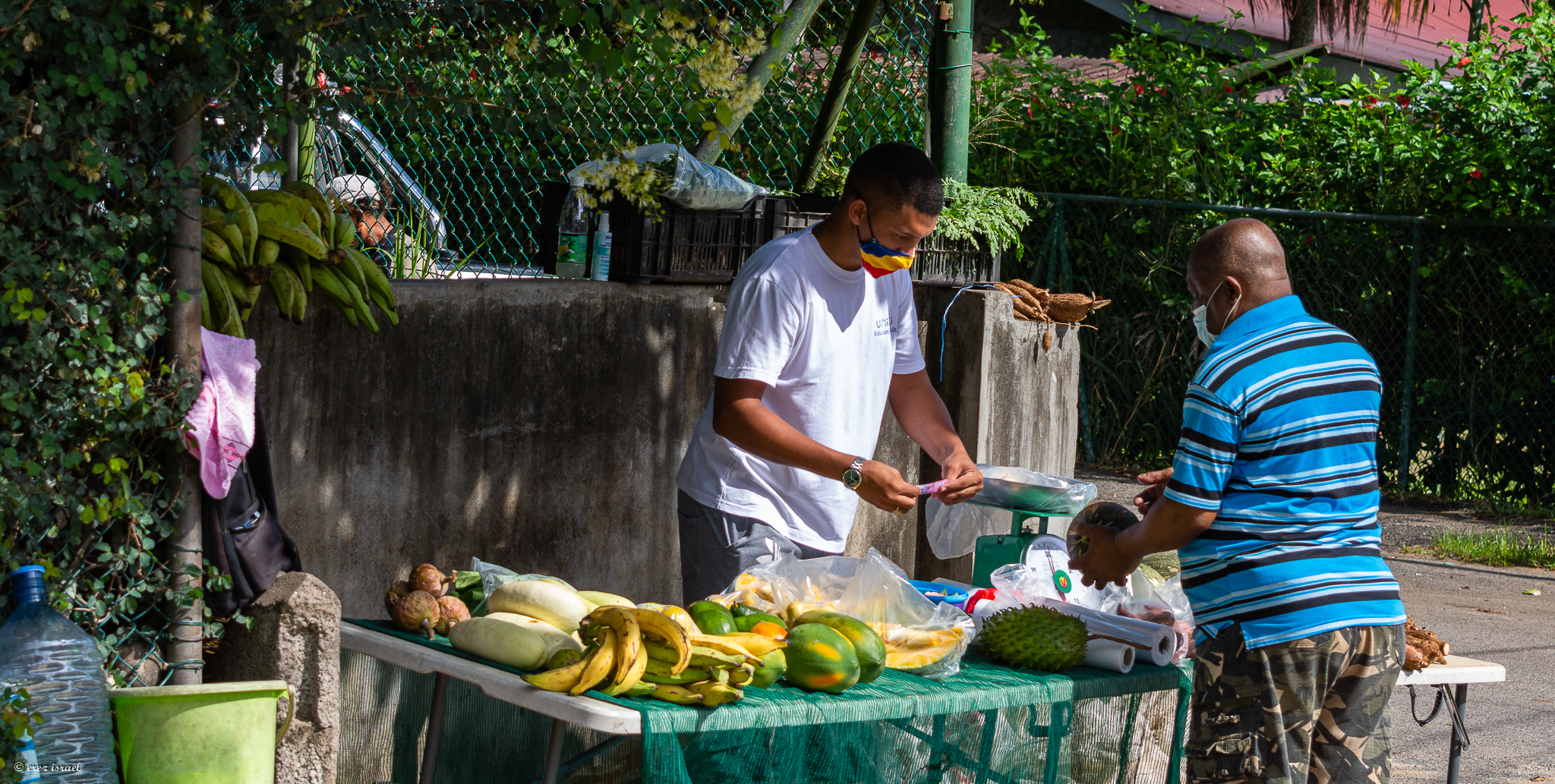 מוכר פירות באי סשייל