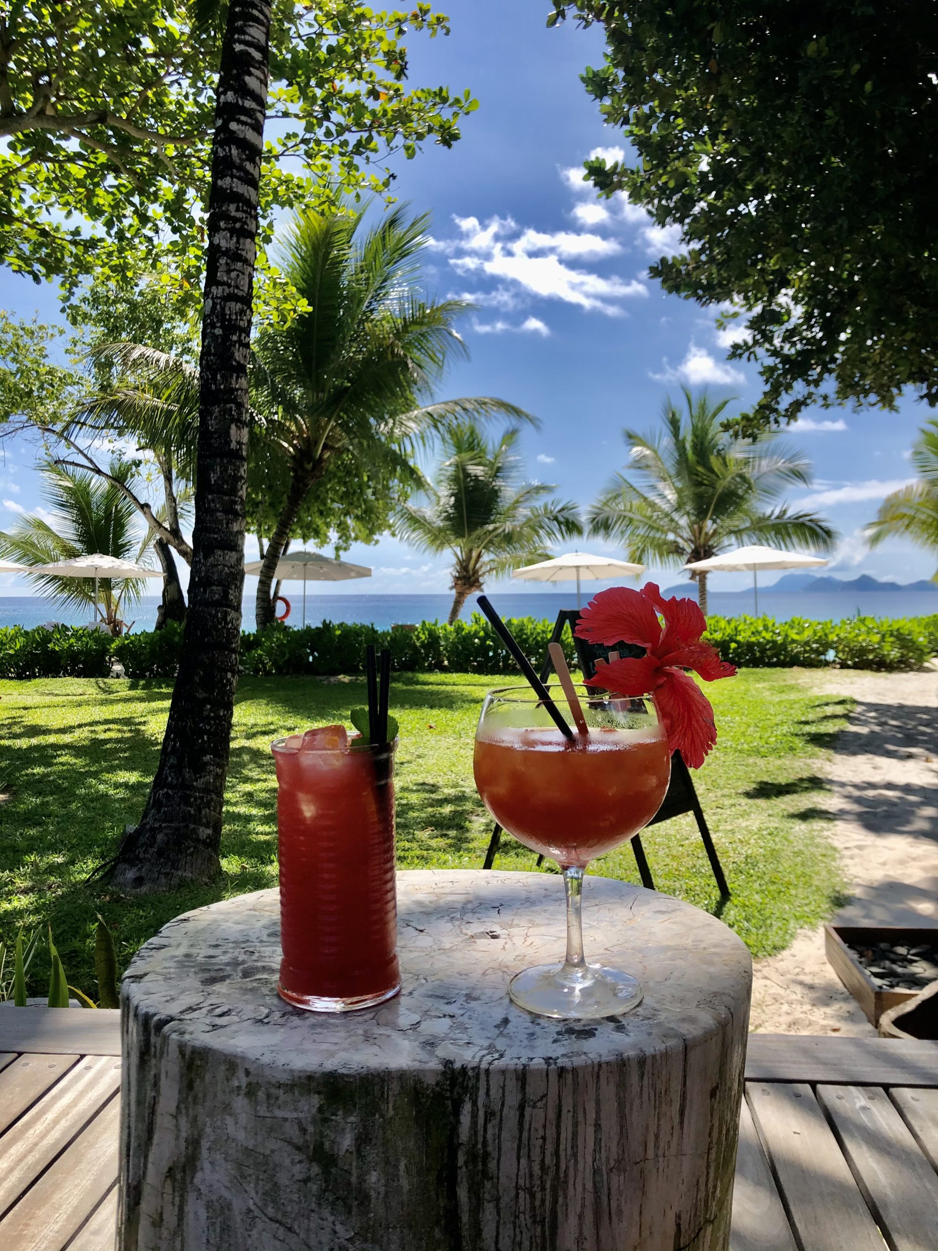 תמונה של משקה אקזוטי בתוך גינה עם רקע של הים