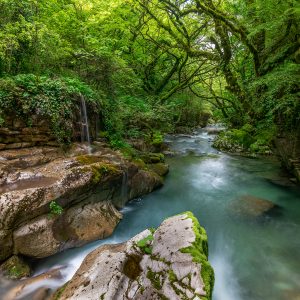 זרימה של מי השלגים והגשמים במעטה ירוק עז ורענן של תחילת האביב , צפון יוון
