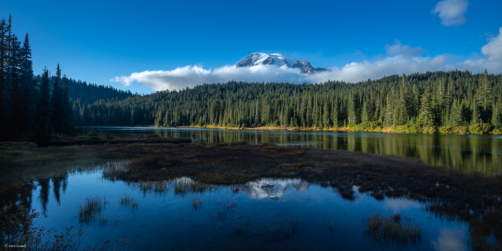פסגת הר געש מושלגת משתקפת , וושינגטון , ארה"ב